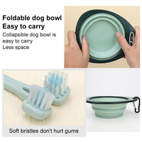 Vente en gros d'usine, logo personnalisé, kit de toilettage pour animaux de compagnie 8 en 1, produits de toilettage pour chats, ensemble de brosses pour chiens
