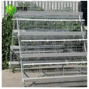 Jaula de acero galvanizada de inmersión en caliente, equipo de granja de aves de corral de tipo grande A, capa de batería, automática, con sistema de colocación de huevos