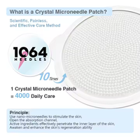 Nouvel outil de beauté pour usage domestique avec 1064 aiguilles Micro-puce Acide hyaluronique 10ml Ampoule Tampon en silicone réutilisable Masque facial en feuille à base de plantes