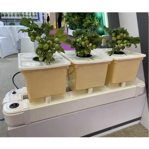 Piccolo nuovo sistema di botte idroponica per la coltivazione di uva in serra e ortaggi fuori suolo - Product Image 2