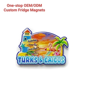 Aimant de réfrigérateur en résine des Turks et Caïcos, souvenir des Caraïbes, phare 3D, flamant rose, autocollant magnétique, souvenir de voyage des Providenciales - Product Image 1