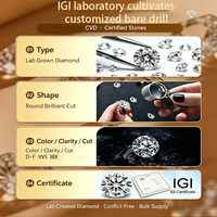 Diamante Cultivado en Laboratorio, Corte Pera, Certificado IGI, Color D-F, Claridad VVS, CVD, Estilo Lágrima Deslumbrante, para Marcas de Joyería de Lujo