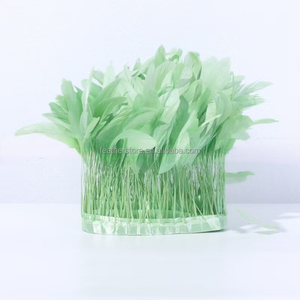 ขนหางไก่คุณภาพดี ขนาด 15-20 ซม. (6-8 นิ้ว) แบบขายส่ง สำหรับตกแต่งชุดแฟนซี ขายดี - Product Image 2