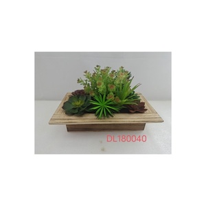 Elegante Maceta Decorativa de Plástico con Diseño de Madera para Suculentas Artificiales, Modelo DL-180040, Uso Interior/Exterior, Diseño Personalizable - Product Image 1