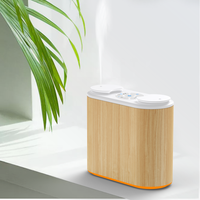 Diffuseur d'arômes électrique OEM mini portable de table rechargeable à double buse, nébuliseur d'huiles essentielles sans eau 5-10ml pour la maison