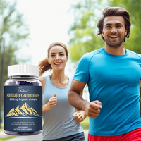 Gummies de Shilajit Naturel de l'Himalaya OEM ODM - Boost d'Énergie, Anti-Fatigue et Soutien Antioxydant pour Adultes