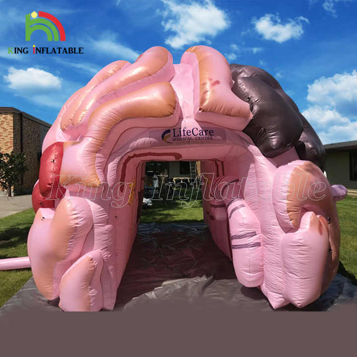 Giant Inflatable Brain - Mental Health Exhibition Model