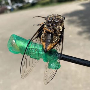 Spider-Man Friends - Lanzador de Cigarras de Plástico Adhesivas, Juguete Novedoso y Divertido de Dinosaurios para Niñas, Gadget Antiestrés para Niños - Product Image 4