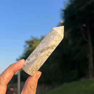 Piedras naturales de cristal de jade coral de alta calidad al por mayor para decoración del hogar única y regalos navideños - Product Image 4