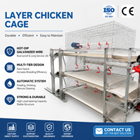 Cage à poules pondeuses de type H avec conception professionnelle pour élevage avicole, cage à batterie en treillis métallique durable