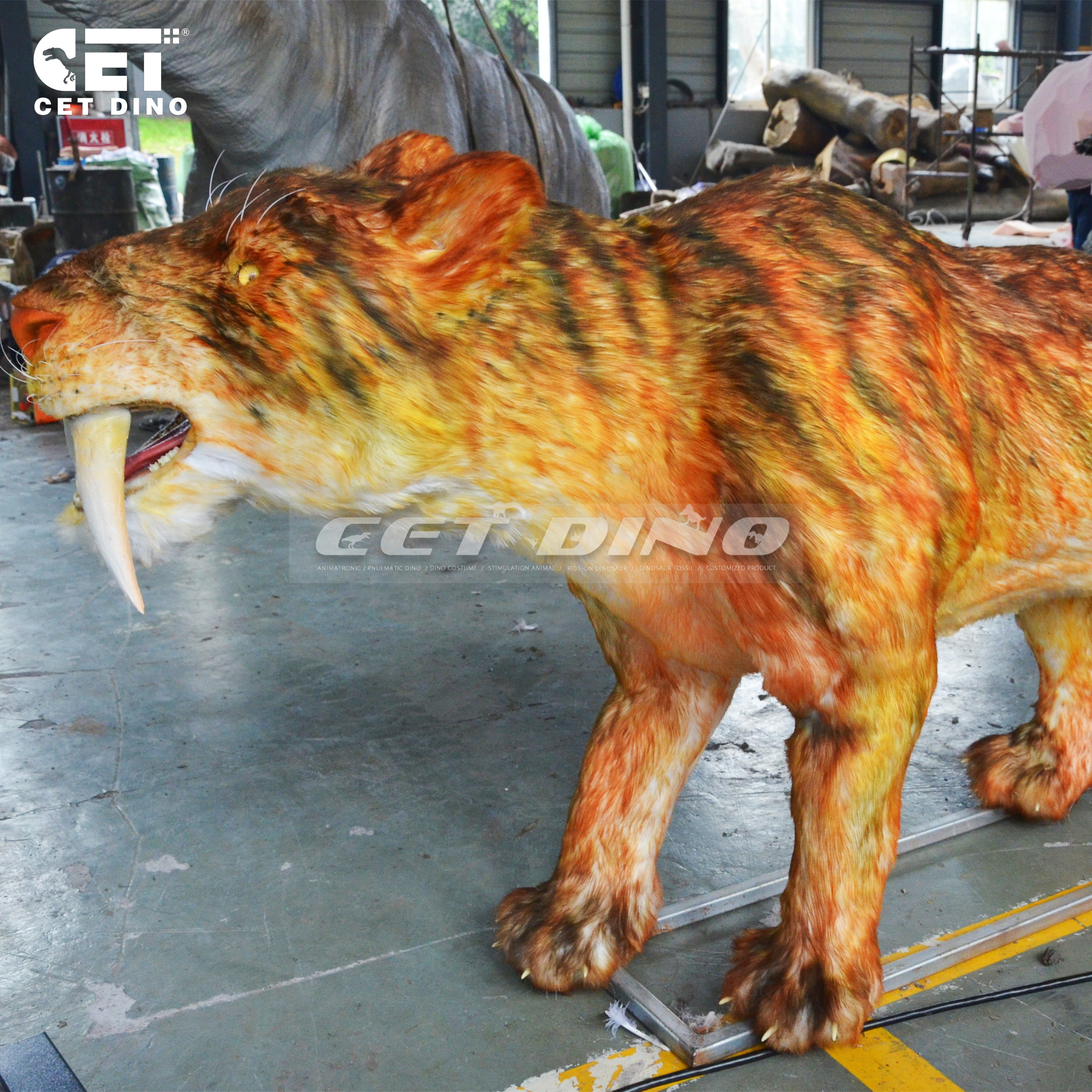 Saber-Toothed Tiger