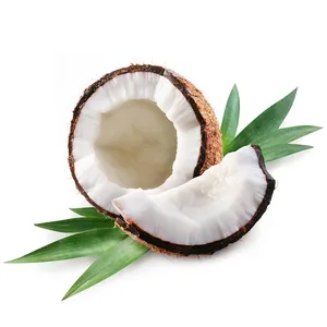 Factory Hot Selling Coconut Mik Powder Natural Organic Coconut Powder With Best Price