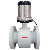 Medidor de Flujo Magnético de Fábrica con Pantalla OLED, PTFE DN20 DN100, Medidor de Flujo Electromagnético RS485, Medidores de Flujo de Agua Magnéticos