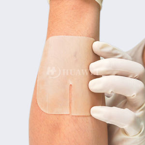 عينة مجانية معجون قرحة ضغط لاصقة شفاء غروانية مائية ، لبيئة الجرح المثلى في علاجات القرحة - Product Image 1