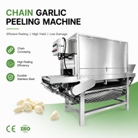 Máquina Procesadora de Ajo Personalizada SAIDASHI, Alta Tasa de Pelado 200-1000kg/h, con Compresor de Aire Certificado CE