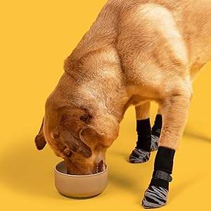 टिकाऊ क्लासिक शैली पालतू पाव रक्षक विरोधी पर्ची कुत्ते के मोजे, सुंदर नरम कपास के साथ विभिन्न पैटर्न - Product Image 5