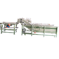 Industriële Waterbesparende Bladgroente Reiniger Machine Kersen Wassen Transportband Fruitverwerkingsfabriek