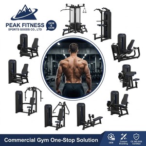 Equipo de gimnasio comercial: Máquina de cable cruzado integrada de montaje en pared, con carga de placas, de acero, para ejercicios de pecho y piernas - Product Image 1