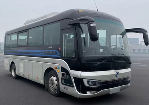 Bus Urbain Électrique Dongfeng de 8,2 m, 24-36 Places, Batterie CATL de 176 kWh, Autonomie de 422 km, pour le <span class=keywords><strong>Transport</strong></span> Public Urbain et Rural - Product Image 2