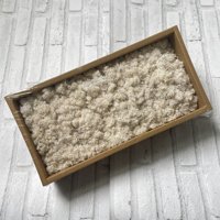 Vente en gros de fleurs décoratives murales Mousse de renne en vrac Mousse naturelle préservée en boîte