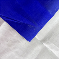 Bâche en PE en gros, imperméable, 100 g/m², 250 g/m², feuille enduite de polyéthylène, poids personnalisé, bâche durable pour couverture