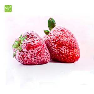 IQF Strawberry Frozen Strawberry <span class=keywords><strong>2022</strong></span> nueva temporada mejor <span class=keywords><strong>precio</strong></span> IQF Frozen chines Frutas - Product Image 2