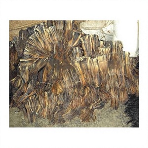 Pincel de Pelo de Caballo para Pintura Líquida B.S INTERNATIONAL, Modelo BTR786900, No Soluble en Agua, 3 Años de Duración, Refrigerado, Seco y Fresco - Product Image 5