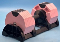 Haltères octogonaux en fonte Yoou 2024 avec logo personnalisé, haltères réglables de 80 lb avec des incréments de 5 lb pour une utilisation à domicile, unisexe