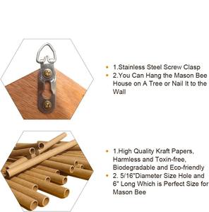 Usine en bois Mason Bee House fait à la main en bois naturel abeille ruche charpentier maisons d'abeilles pour jardin ruche boîte - Product Image 4