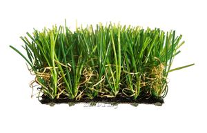 Césped Artificial de Césped Sintético para Decoración de Jardín, Alfombra Suave, <span class=keywords><strong>Cesped</strong></span> Artificial - Product Image 4