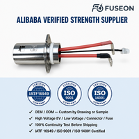 أسلاك PTFE عالية الجهد 600 فولت مقاومة للحرارة العالية والمواد الكيميائية، نحاسية لنظام محرك السيارات الكهربائية، تصنيع حسب الطلب