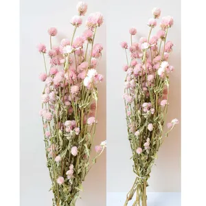 Оптовая продажа, пучки бледно-розовых цветов клевера, сушеные цветы для украшения