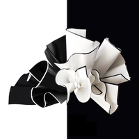 Film Cellophane Nacré Blanc avec Bordure Noire OPP pour Emballage Floral Vente en Gros aux Fleuristes