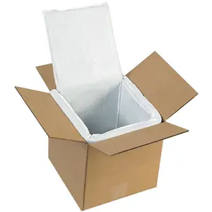 Curbside-recyclable Eco Friendly Insulated Thermal Box Liner With Foam For 48 Hours Food Shipment