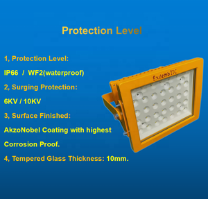 ATEx IP66 300W 400W 500W LED防爆泛光灯二合一专业防爆灯工业照明 - Product Image 4