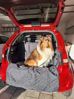Housse de protection imperméable en polyester pour coffre de voiture pour chien, facile à nettoyer, durable, antidérapante, respirante, avec sac de rangement
