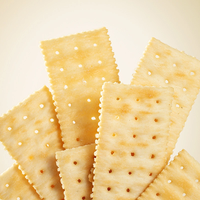 Galleta crujiente de soda, sabor tomate/algas/aireas, salada y crujiente, en oferta.