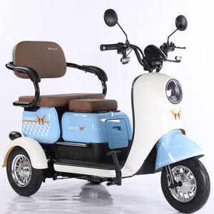 ราคาดีที่สุด <span class=keywords><strong>DESEO</strong></span> คุณภาพสูง รถสามล้อไฟฟ้า 800W ได้รับมาตรฐาน EEC แบบเปิด 3 ล้อ บรรทุกผู้โดยสาร 2 คน รับน้ำหนักได้ 100-200 กก. เหมาะสำหรับผู้สูงอายุ - Product Image 1