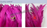 Plumes de coq de 25-30 cm pour artisanat, bricolage, costumes, accessoires de chapeau, déguisements, fêtes, carnaval, décorations de mariage
