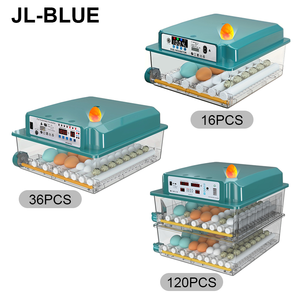 Incubateur intelligent entièrement automatique à température constante pour usage domestique, capacité de 16 à 120 œufs, incubateur pour œufs <span class=keywords><strong>d</strong></span>'<span class=keywords><strong>oiseaux</strong></span> - Product Image 1