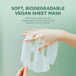   Masque relaxant au thé et à la Centella de <span class=keywords><strong>Madagascar</strong></span>, masque pour le visage, soin de la peau pour les peaux grasses et sujettes aux imperfections, soin de la peau coréen en stock - Product Image 6