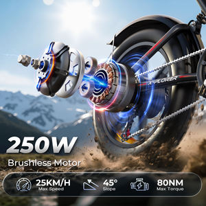 En stock dans l'UE ! Vélo électrique à pneus larges de 20 pouces, 250 W, autonomie de 60 km, suspension intégrale, Shimano 7 vitesses, IP65, UE, livraison en 3 à 7 jours - Product Image 3