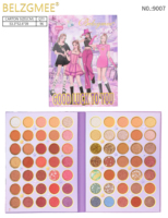 Palette de fards à paupières et de blush personnalisée à forte pigmentation, grande palette de maquillage personnalisée, palette de maquillage Sheglan