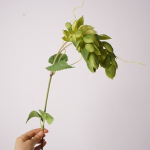 <span class=keywords><strong>ดอก</strong></span>ฮ็อปประดิษฐ์สัมผัสเหมือนจริง ขายดี สินค้ามาใหม่ สำหรับตกแต่งงานแต่งงาน งานปาร์ตี้ งานวันเกิด - Product Image 2