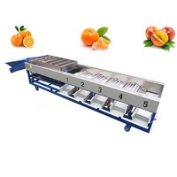 Hotselling Lerford Machine Multifunctionele Automatische Optische Sorteer- en Graderingsmachine voor Fruit- en Groenteverwerkingsbedrijven