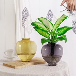 Meixuan florero hidropónico transparente de plástico soplado con boca moderno para sala de estar - Product Image 3