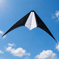 Yuanfei – Cerf-volant de sport double ligne noir et blanc personnalisé à bas prix pour enfants et adultes, en polyester, idéal pour les activités de plein air