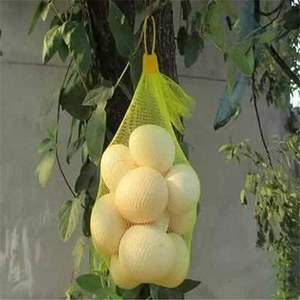 Huamaohengchun 100 sacs de couvaison pour œufs, sacs en plastique extensibles résistants de 15 pouces, sacs en filet réutilisables pour légumes, fruits, jouets - Product Image 5