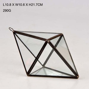 Grand Prisme Irrégulier Géométrique en Verre Terrarium Boîte de Table Pot de Fleur Jardinière pour Plantes Succulentes Fougère Mousse - Product Image 6