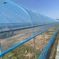 Film de serre agricole 7 couches stabilisé aux UV, diffuseur de lumière, anti-goutte, pour la culture à long terme des cultures